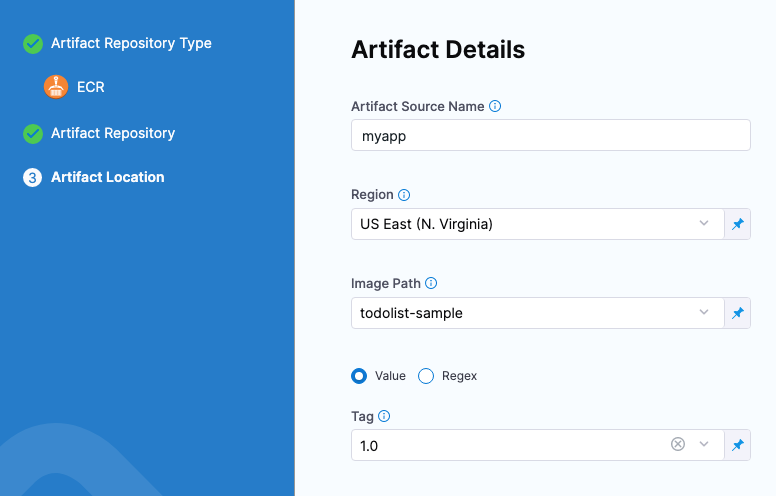 ECR artifact details